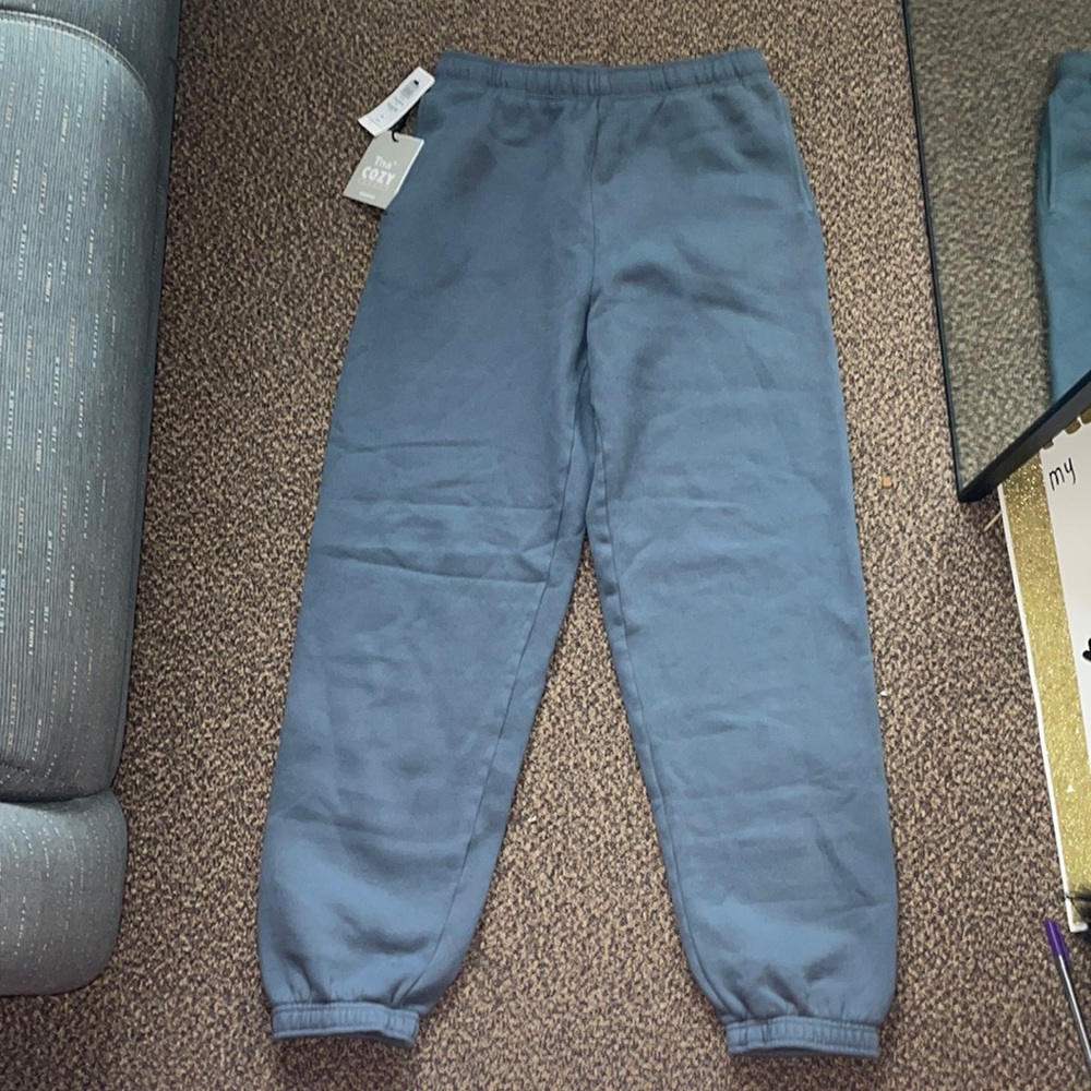 aritzia blue grey sweatpants